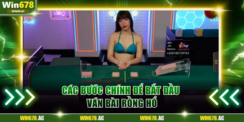 Các bước chính để bắt đầu ván bài Rồng Hổ