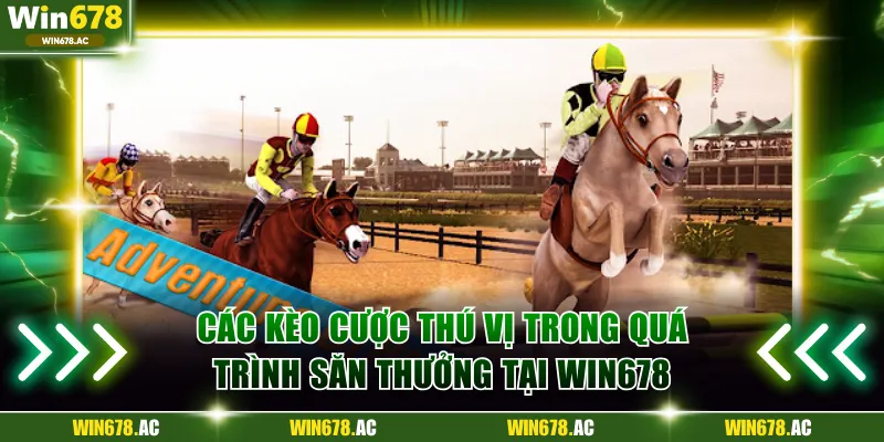 Các kèo cược thú vị trong quá trình săn thưởng tại Win678