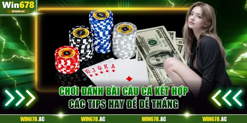 Chơi đánh bài câu cá kết hợp các tips hay để dễ thắng