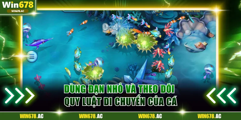 Dùng đạn nhỏ và theo dõi quy luật di chuyển của cá