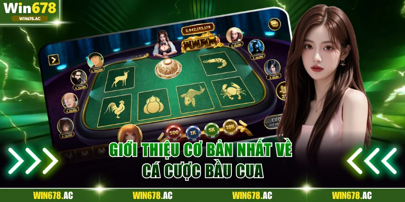 Giới thiệu cơ bản nhất về cá cược bầu cua