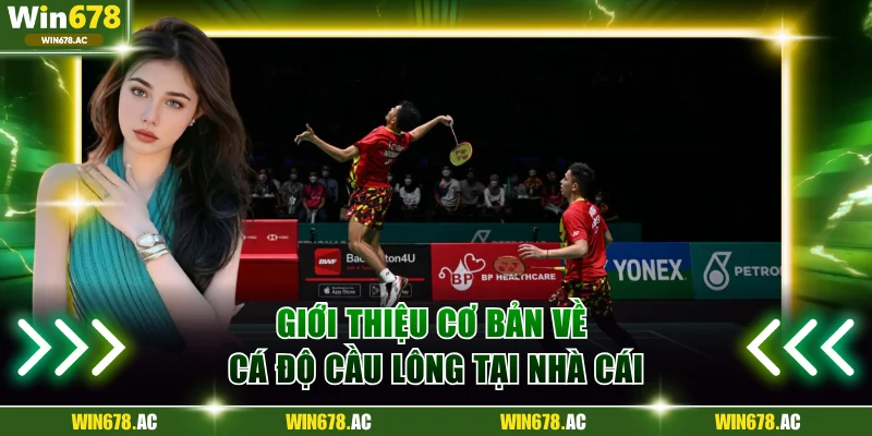 Giới thiệu cơ bản về cá độ cầu lông tại nhà cái