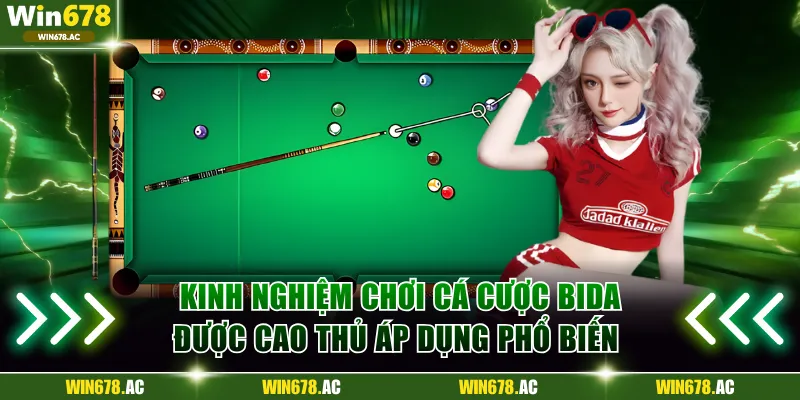 Kinh nghiệm chơi cá cược Bida được cao thủ áp dụng phổ biến 