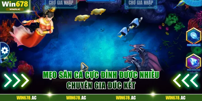 Mẹo săn cá cực đỉnh được nhiều chuyên gia đúc kết