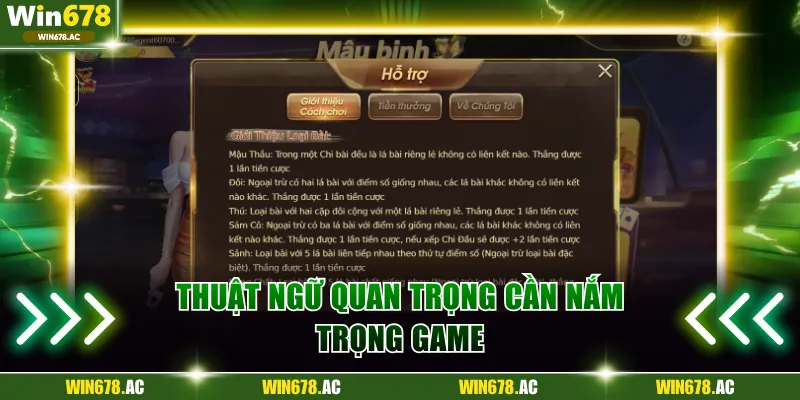 Thuật ngữ quan trọng cần nắm trong game 