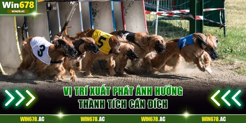 Vị trí xuất phát ảnh hưởng thành tích cán đích
