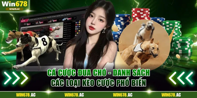 Cá cược đua chó